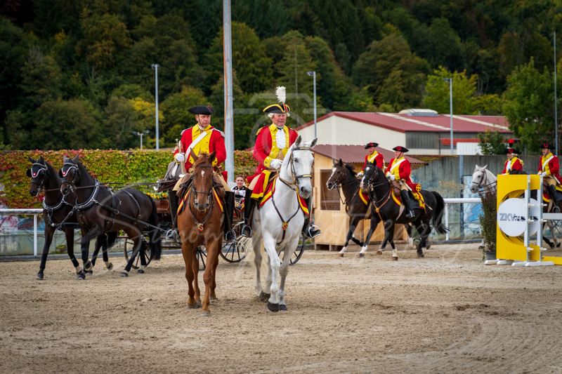 Concours Münsingen-3001
