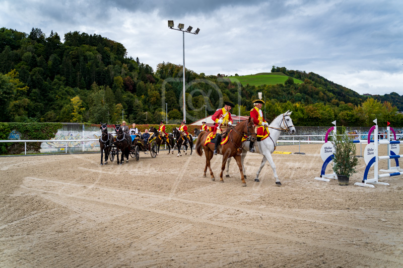 Concours Münsingen-3002