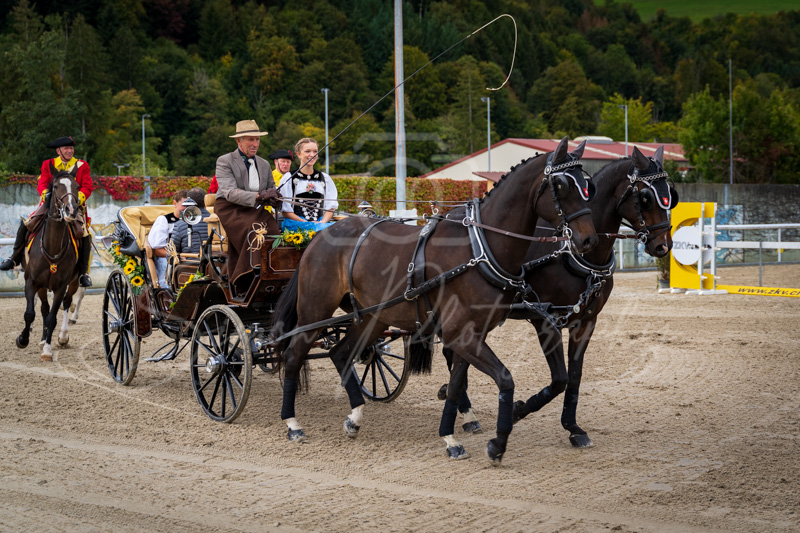 Concours Münsingen-3003