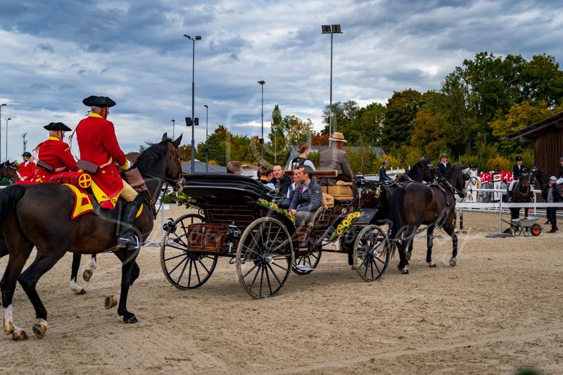 Concours Münsingen-3006