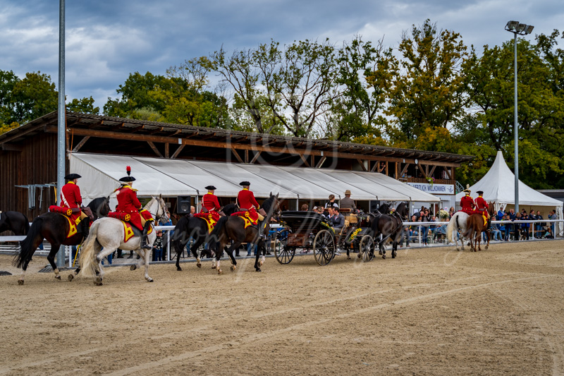 Concours Münsingen-3007