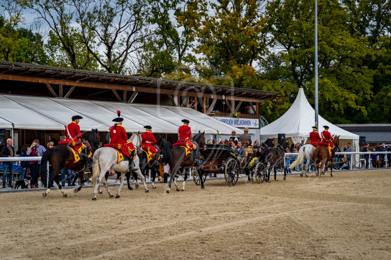 Concours Münsingen-3008