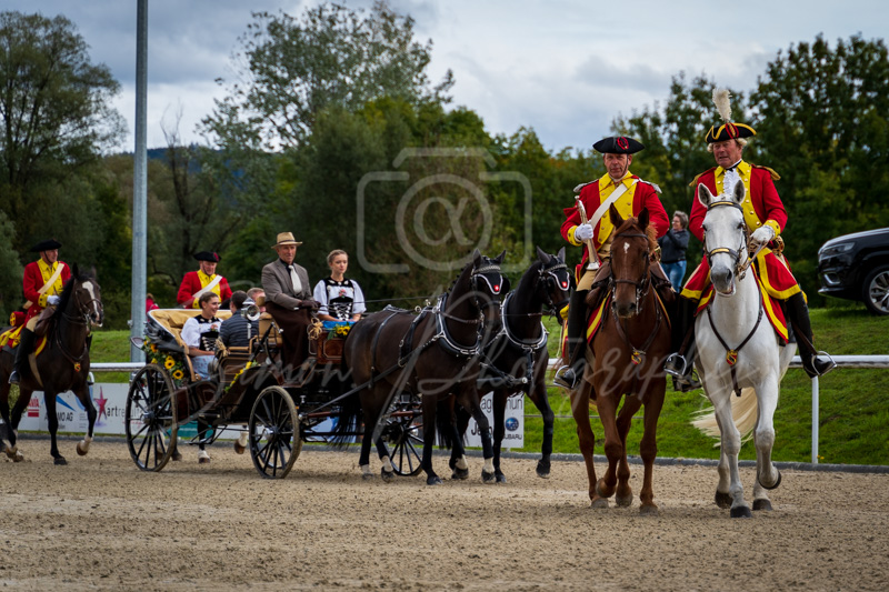 Concours Münsingen-3009