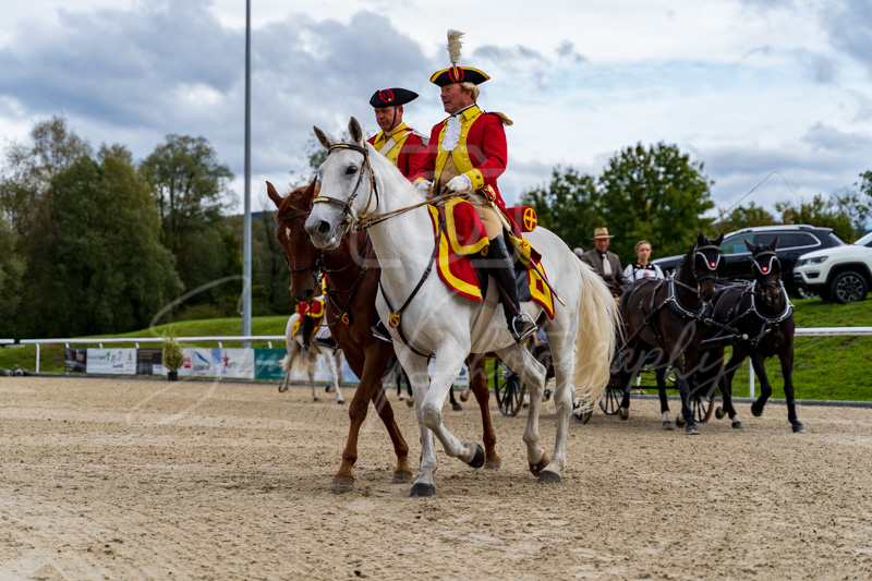 Concours Münsingen-3010