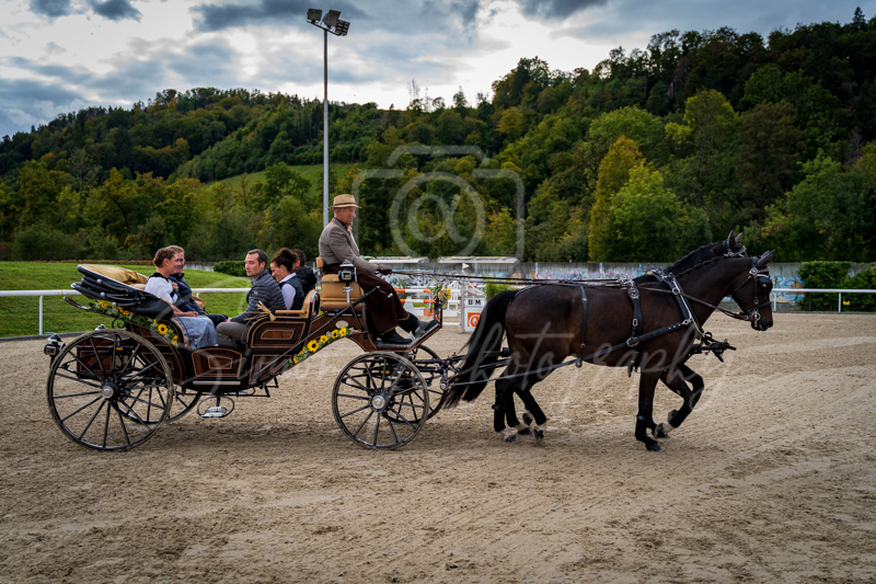Concours Münsingen-3018