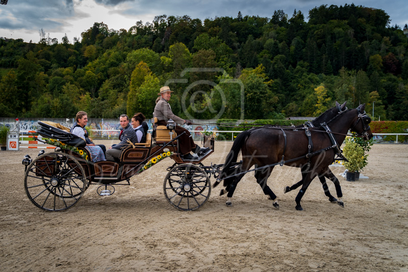 Concours Münsingen-3019