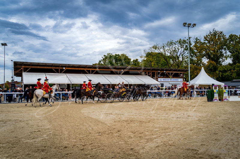 Concours Münsingen-3020
