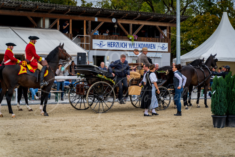 Concours Münsingen-3022