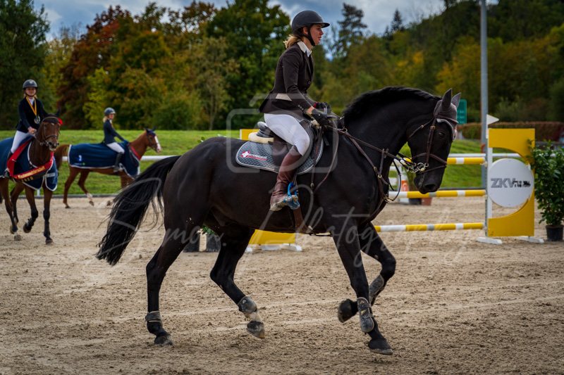 Concours Münsingen-3066