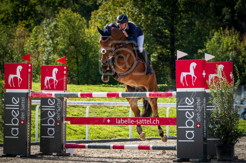 Concours Münsingen-2500