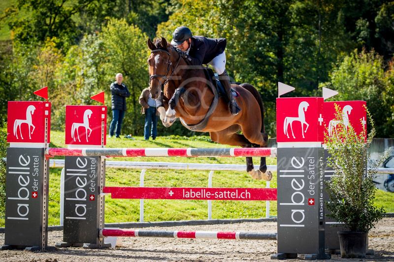 Concours Münsingen-2502
