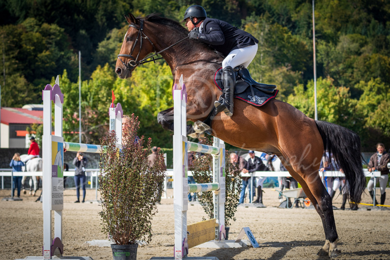 Concours Münsingen-2503