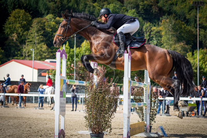 Concours Münsingen-2504