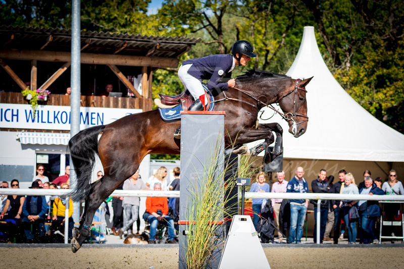 Concours Münsingen-2506