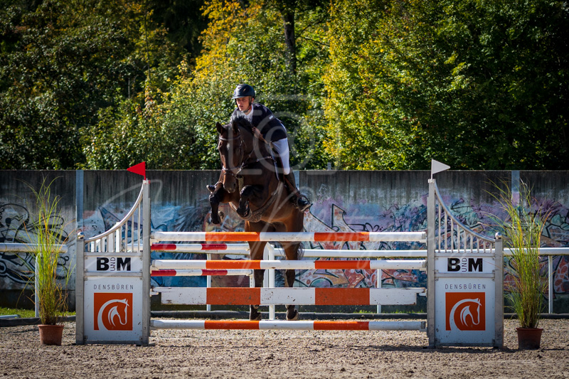Concours Münsingen-2510