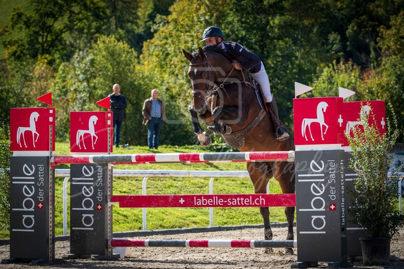 Concours Münsingen-2511