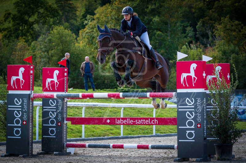 Concours Münsingen-2517