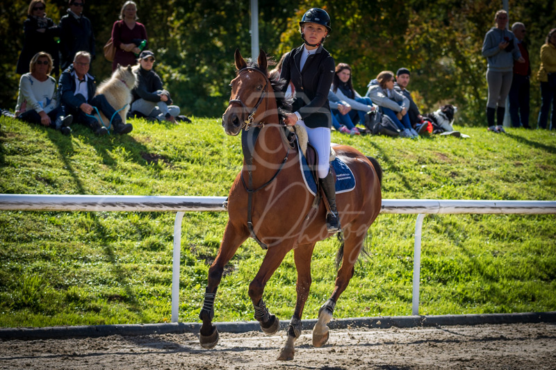 Concours Münsingen-2521