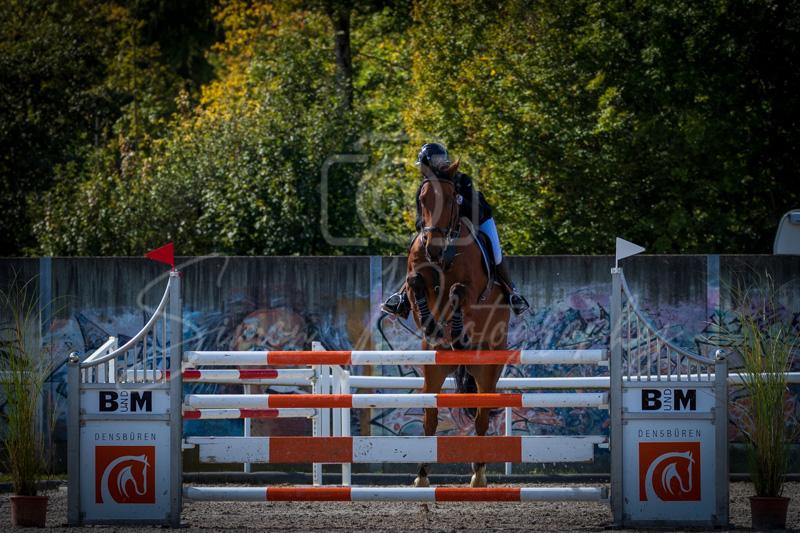 Concours Münsingen-2524