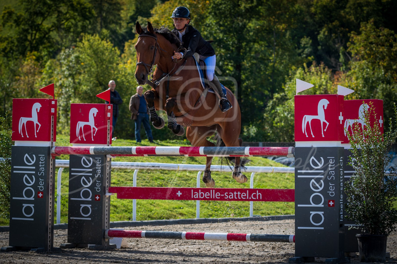 Concours Münsingen-2525