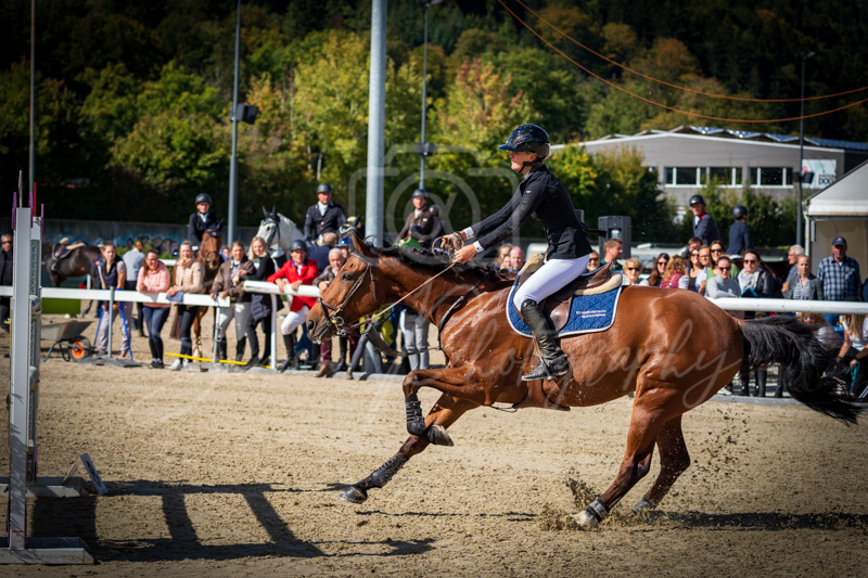 Concours Münsingen-2526