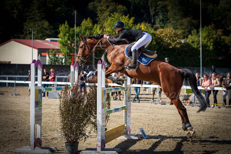 Concours Münsingen-2528
