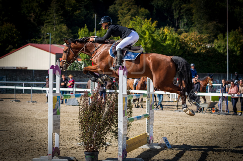 Concours Münsingen-2529