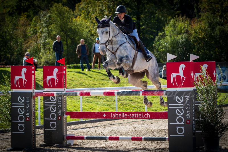 Concours Münsingen-2536