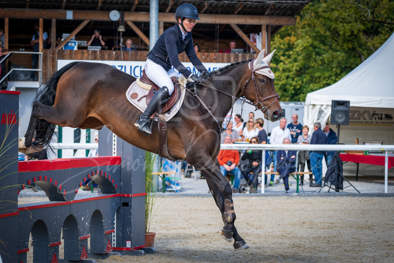Concours Münsingen-2545