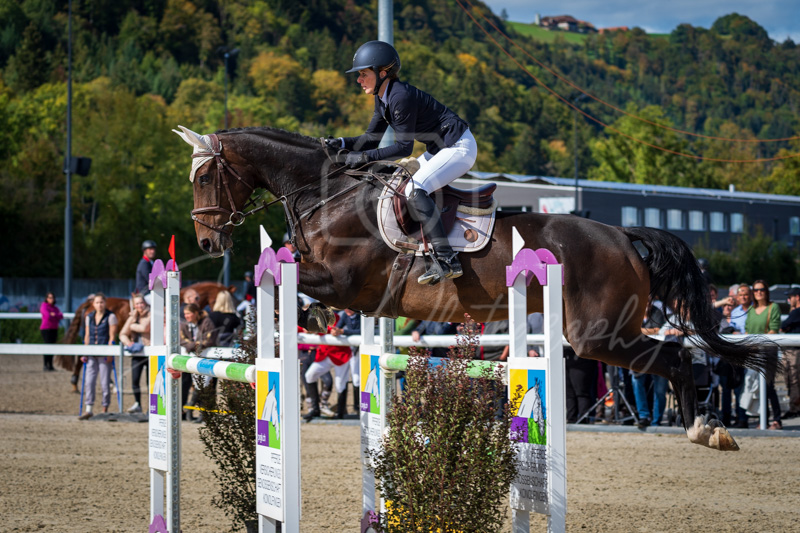 Concours Münsingen-2550