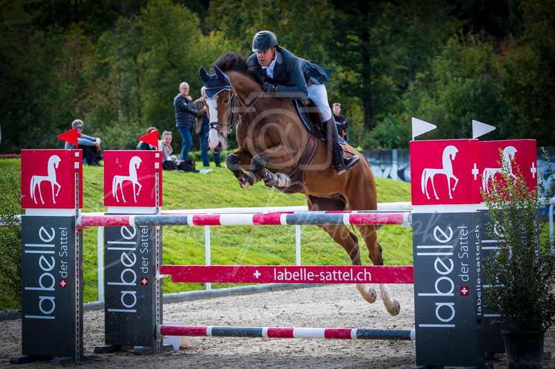 Concours Münsingen-2556