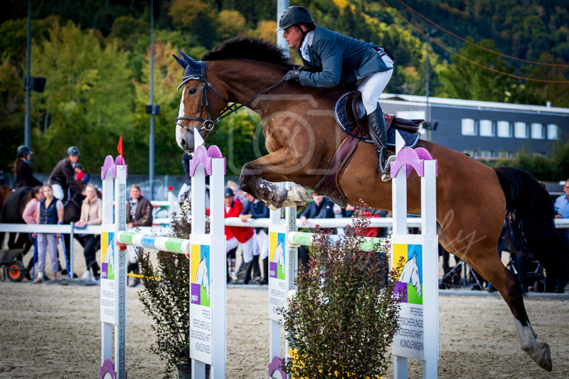Concours Münsingen-2560