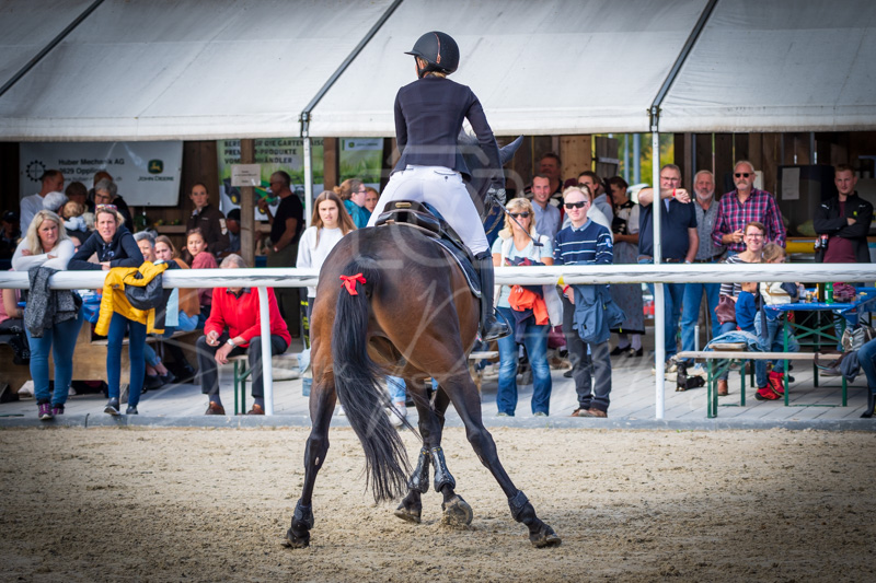 Concours Münsingen-2564