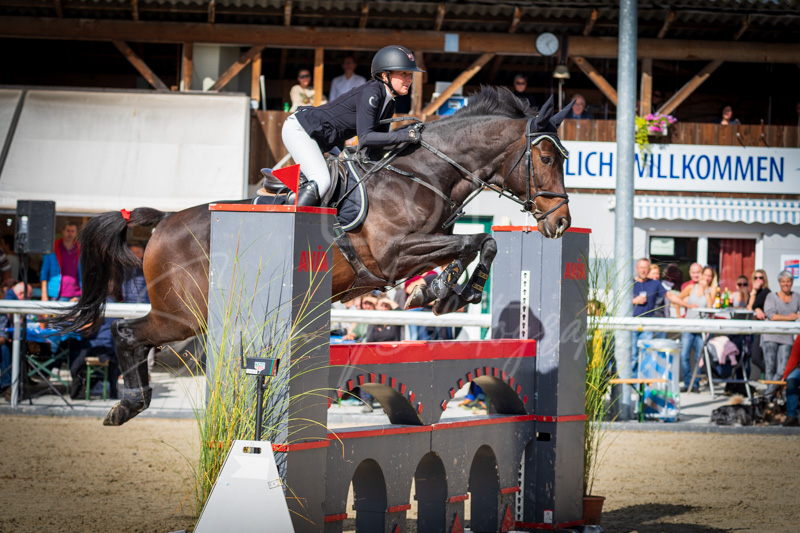 Concours Münsingen-2565
