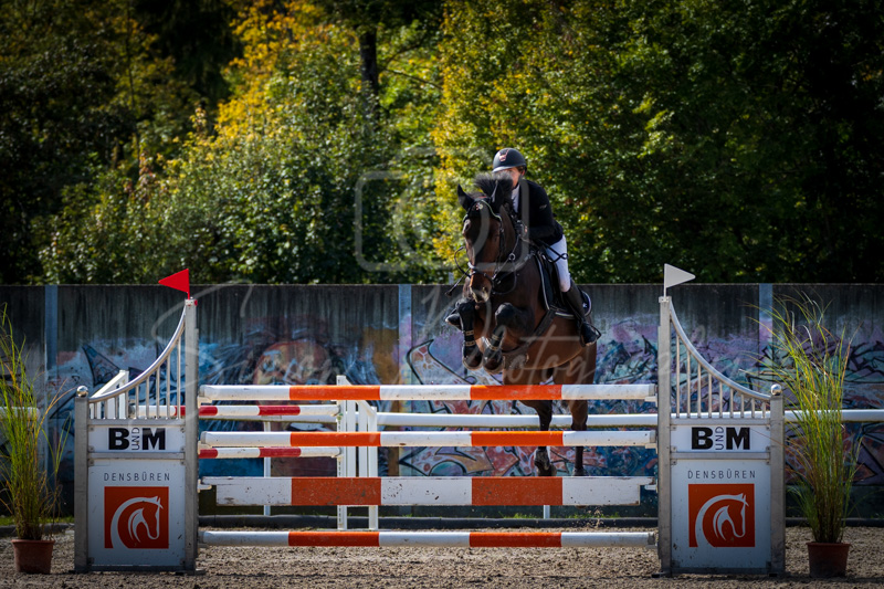 Concours Münsingen-2567
