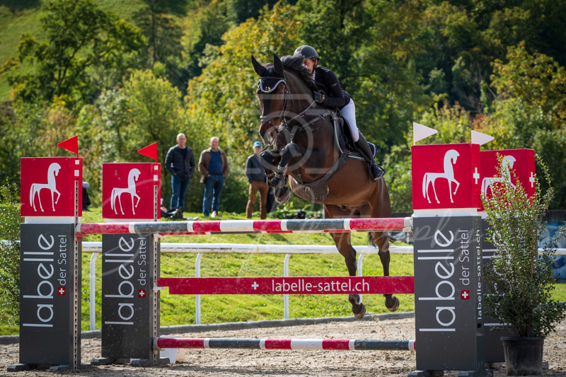 Concours Münsingen-2568