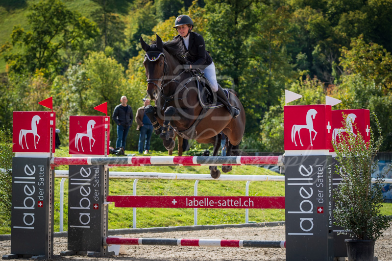 Concours Münsingen-2569