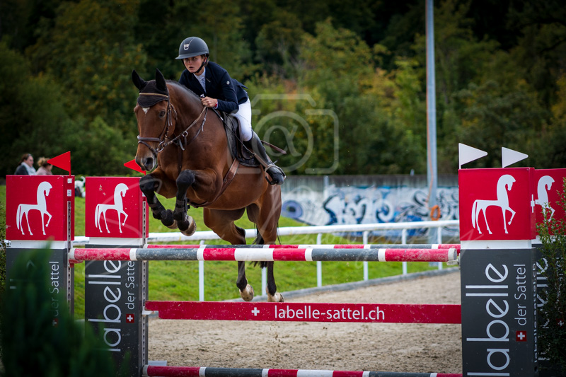 Concours Münsingen-2702
