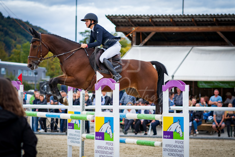 Concours Münsingen-2704