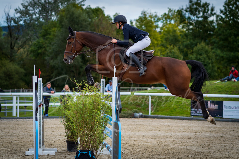 Concours Münsingen-2706