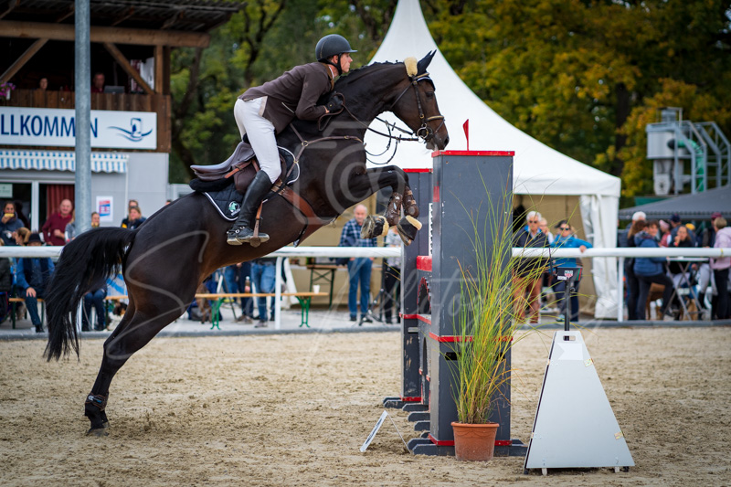 Concours Münsingen-2708