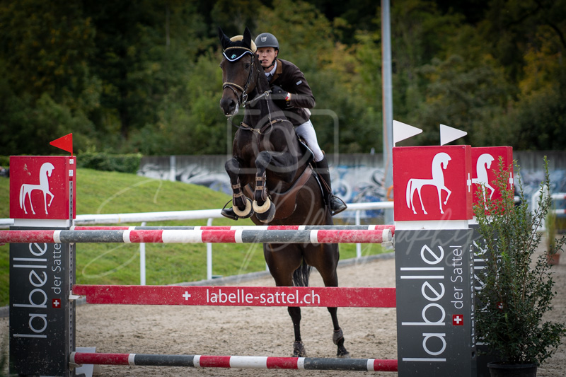Concours Münsingen-2710