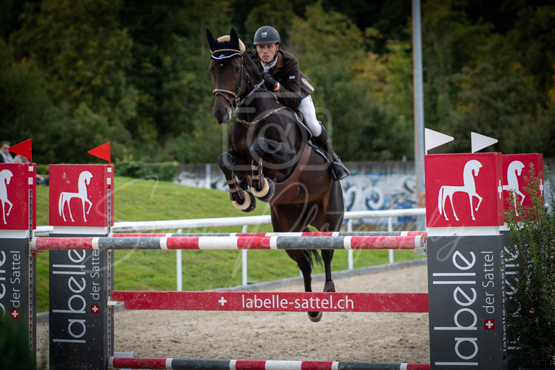 Concours Münsingen-2711