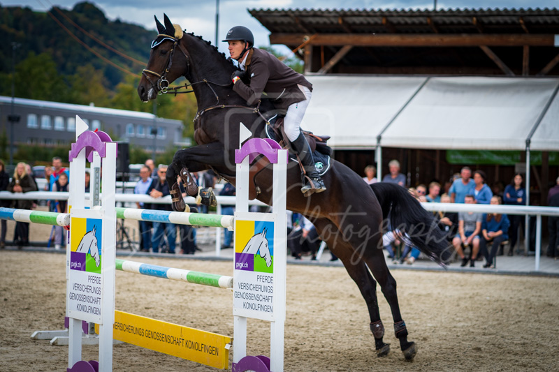 Concours Münsingen-2712