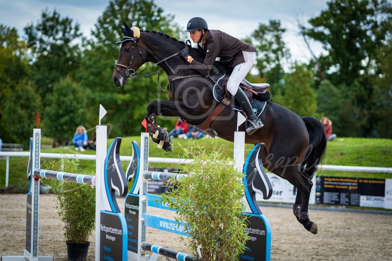 Concours Münsingen-2715