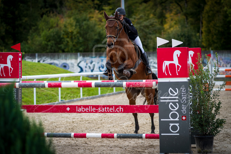 Concours Münsingen-2719