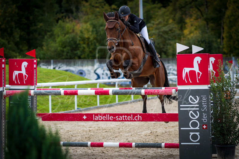 Concours Münsingen-2720