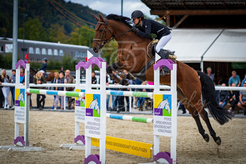 Concours Münsingen-2721
