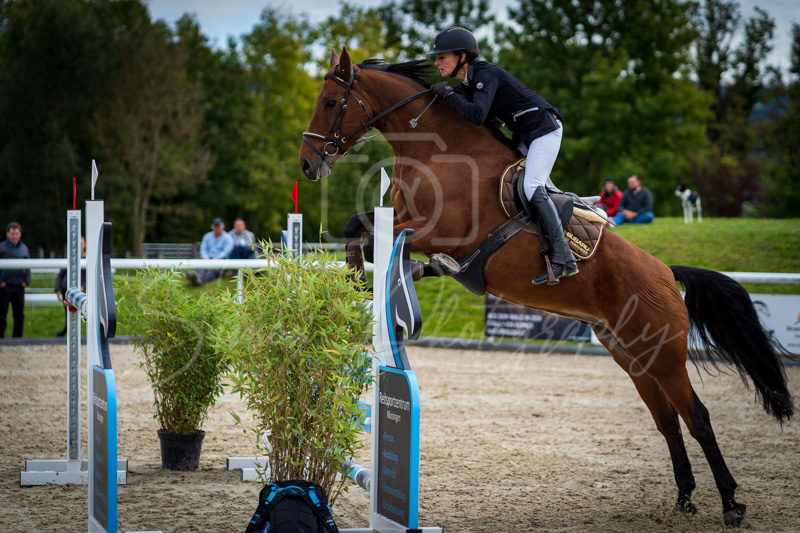 Concours Münsingen-2723