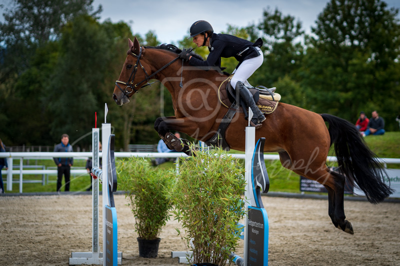 Concours Münsingen-2724